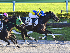 カラープリント(アルミ枠なし)2024年10月20日東京12R 3歳以上2勝クラス(ロジアデレード)