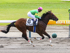 カラープリント(アルミ枠付き)2024年10月20日新潟2R 2歳未勝利(タガノマカシヤ)