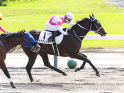 カラーパネル2024年10月20日新潟3R 3歳以上1勝クラス(ケイアイメキラ)