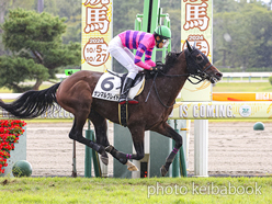 カラーパネル2024年10月20日新潟4R 3歳以上障害未勝利(サンマルグレイト)