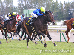 カラープリント(アルミ枠付き)2024年10月20日新潟11R 新潟牝馬ステークス(ホールネス)