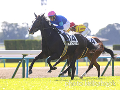 カラープリント(アルミ枠付き)2024年11月3日京都4R 2歳新馬(インブロリオ)